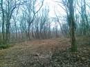 tn_20140118611