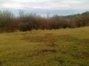tn_20140118638