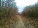 tn_20140118688