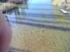 tn_201203021348