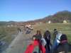 tn_20120121866