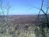 tn_20120121913