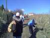 tn_20120121950