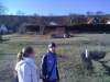 tn_20120121952