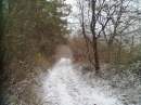 tn_20141228980