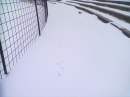 tn_201412301097