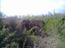 tn_201504071559