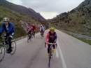 tn_20140305304