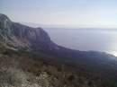 tn_20140308489