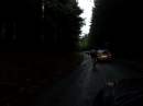 tn_sam_0229