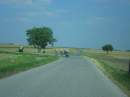 tn_sam_8976