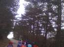 tn_201702273338