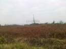 tn_201411221308
