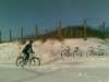 tn_20121209(027)