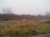 tn_20111203828