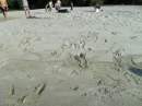 tn_sam_0087