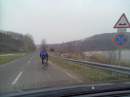 tn_201503111393